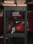 BD09Nat (327).JPG (48091 bytes)