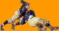 LuckyBagFBYellow.jpg (28712 bytes)