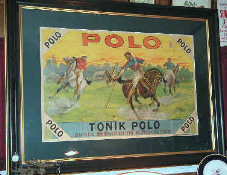 Tonik_Polo_close_in.JPG (39074 bytes)