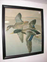 pict3971.jpg (42657 bytes)