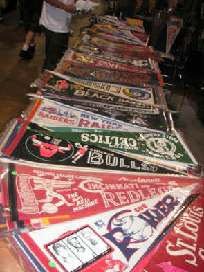 pict0258.jpg (180823 bytes)