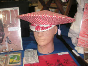 pict0033.jpg (267531 bytes)