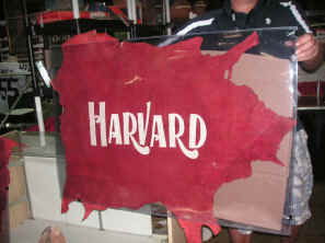 pict0078.jpg (257169 bytes)