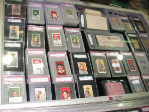 pict0303.jpg (251199 bytes)