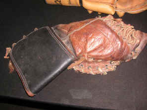 pict0321.jpg (277564 bytes)