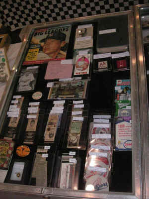 pict1101.jpg (257415 bytes)