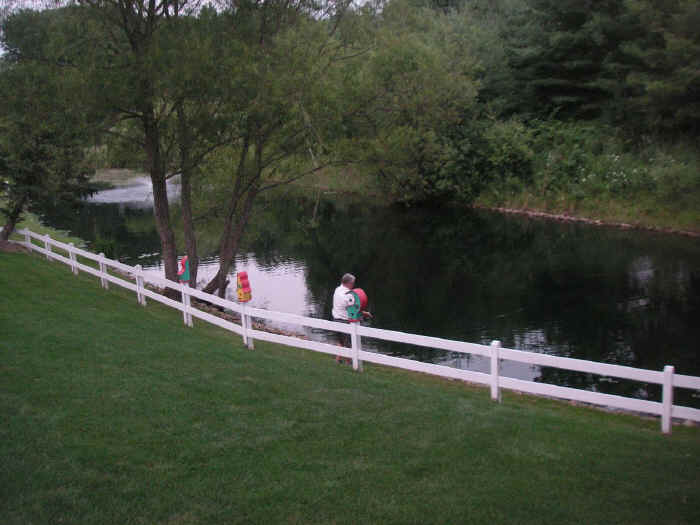 pict1026.jpg (181035 bytes)