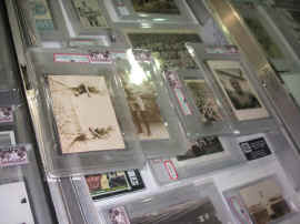 pict0410 (copy).jpg (112195 bytes)