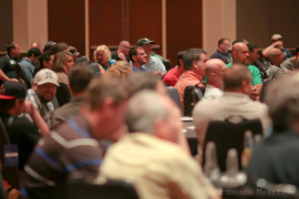 94.png (774557 bytes)