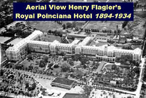 royal poinciana areil view t.jpg (122251 bytes)