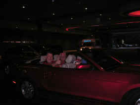 pict7081.jpg (131880 bytes)