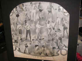 pict7114.jpg (172407 bytes)