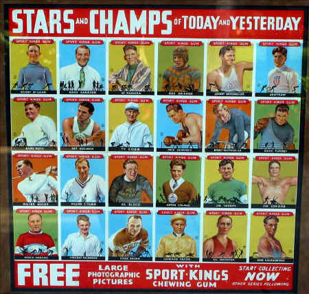 SportKingPoster.jpg (116388 bytes)