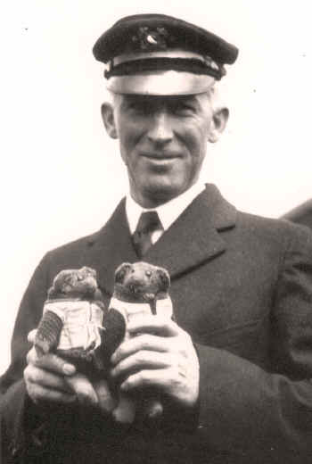 teddy & bruin.jpg (126292 bytes)