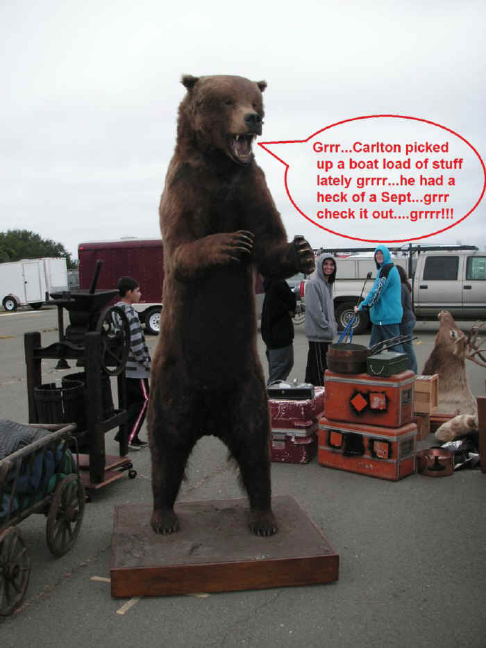 Bear_900x1200.jpg (143308 bytes)