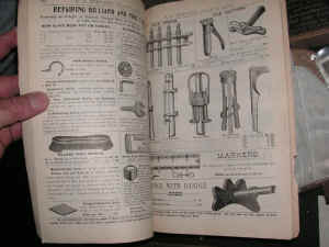 PICT0281_1200x900.jpg (210643 bytes)