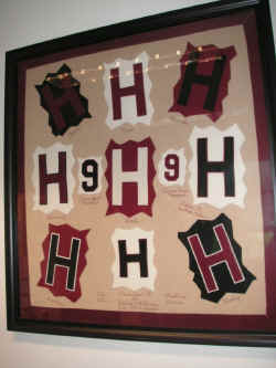 PICT1364_900x1200.jpg (133129 bytes)