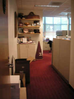 PICT1446_900x1200.jpg (102150 bytes)