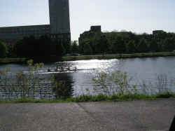 PICT1485_1200x900.jpg (228504 bytes)