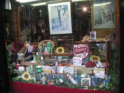 PICT1573_1200x900.jpg (224307 bytes)