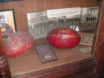 PICT1655_1200x900.jpg (221182 bytes)