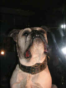 PICT1822_900x1200.jpg (143436 bytes)