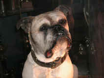 PICT1824_1200x900.jpg (183253 bytes)