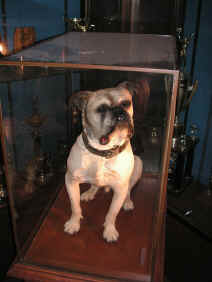 PICT1829_900x1200.jpg (152500 bytes)