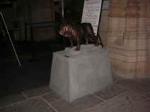 PICT1841_1200x900.jpg (167229 bytes)