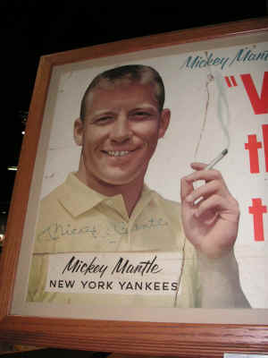 PICT2075_900x1200.jpg (129816 bytes)