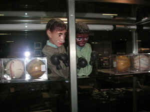 PICT2090_1200x900.jpg (174847 bytes)