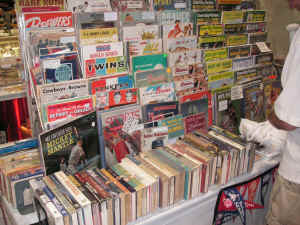 PICT2391_1200x900.jpg (272231 bytes)