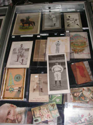 PICT2506_900x1200.jpg (173032 bytes)