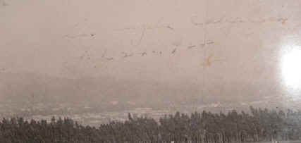 PICT3713_1022x488.jpg (100762 bytes)