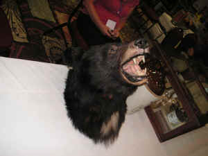 PICT4425_1200x900.jpg (165170 bytes)