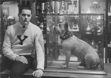 StuffedDan.jpg (25343 bytes)