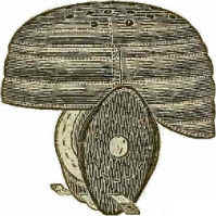 FBHlmetWhite.jpg (14439 bytes)