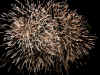 Fireworks3.jpg (604981 bytes)
