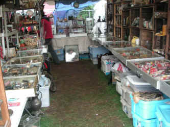 PICT0817_1200x900.jpg (219073 bytes)