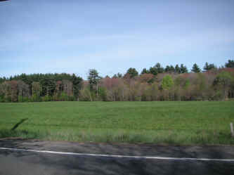 PICT1135_1200x900.jpg (159096 bytes)