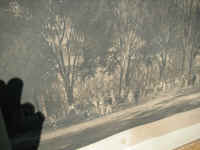 PICT7439_1600x1200.jpg (125796 bytes)