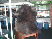 PICT7624_1600x1200.jpg (167747 bytes)