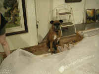 PICT7628_1600x1200.jpg (151825 bytes)