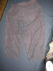 Pants Back.JPG (323075 bytes)