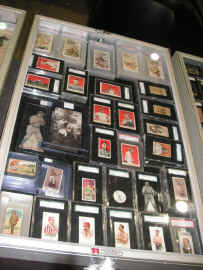 pict7163.jpg (297493 bytes)