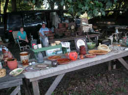 pict7900.jpg (251469 bytes)