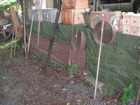 pict7904.jpg (228307 bytes)