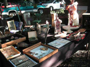 pict7913.jpg (233049 bytes)