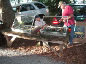 pict7918.jpg (267015 bytes)