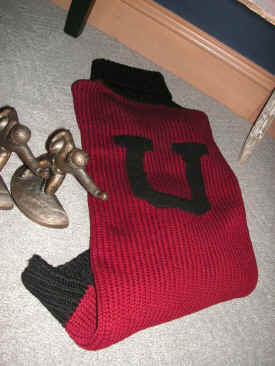 pict8193.jpg (214995 bytes)